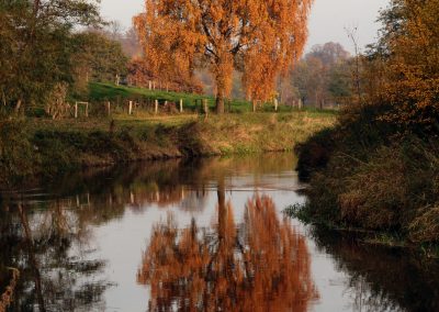 Teich Bach Herbst 3